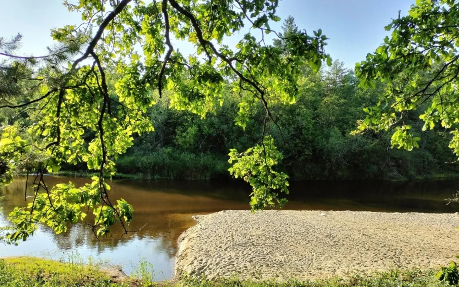 В связи с сухой и жаркой погодой на территории Кулебакского районного лесничества установлен 4 класс пожарной опасности